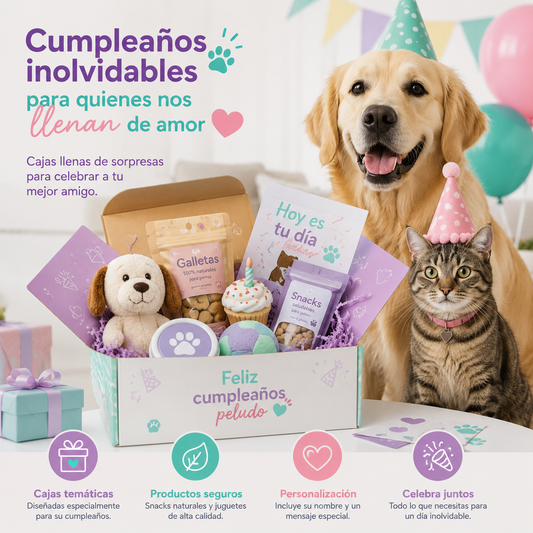 Idea de Negocio $1.000.000: Cajas y tortas de cumpleaños para mascotas
