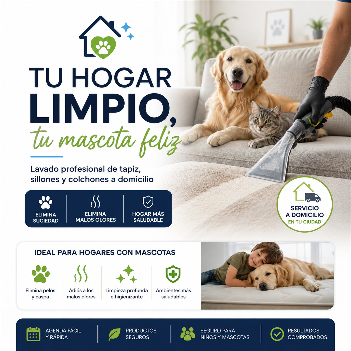 Idea de Negocio $1.000.000: Lavado de tapiz, sillones y colchones a domicilio