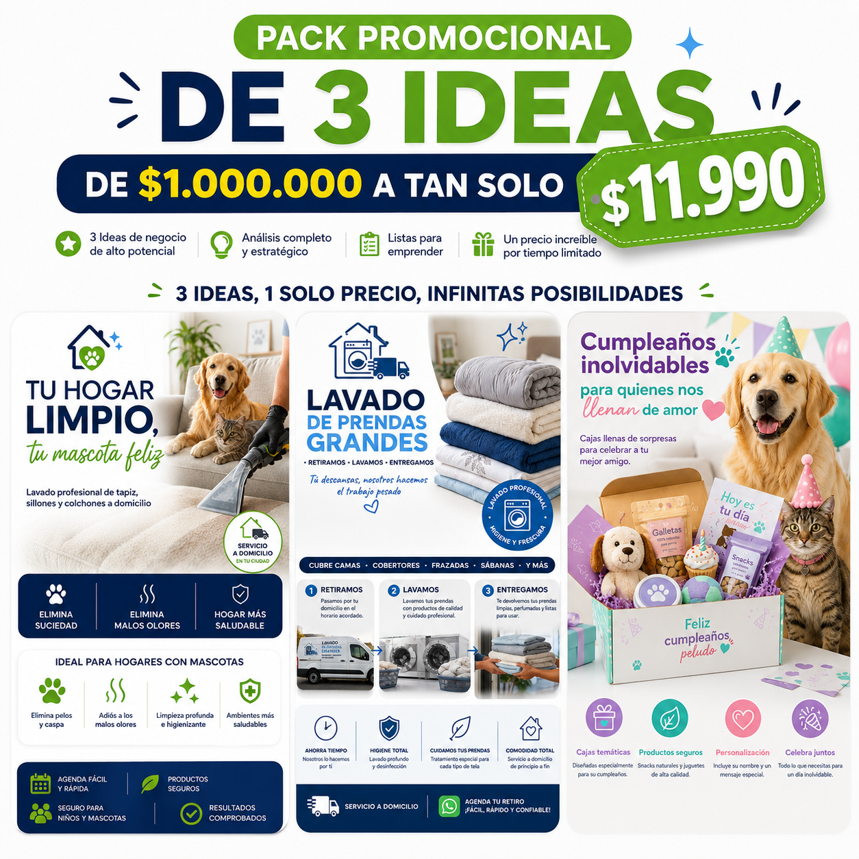 Pack "3" Ideas de Negocios de $1.000.000
